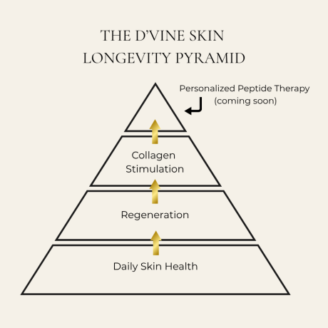 SKIN LONGEVITY PYRAMID (1)